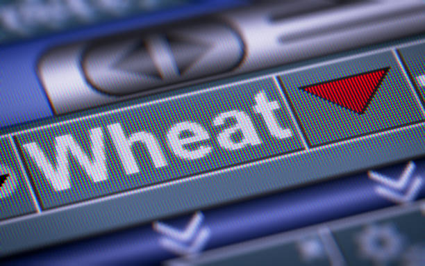 istock The Index of Wheat on The Screen. 869707508