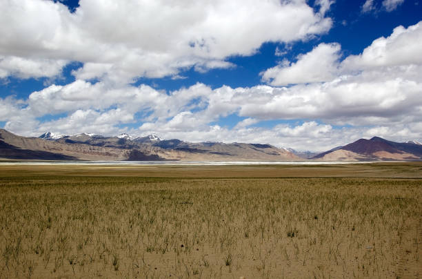 istock Tso Kar Lake in Ladakh, India 869714326