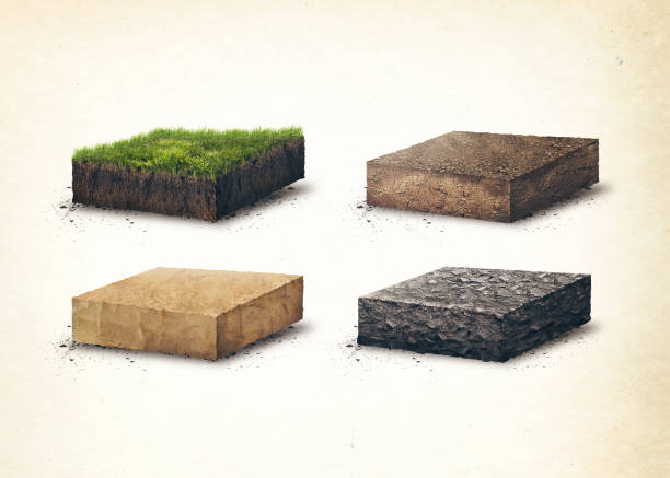 Soil layers. Four sross section soil layers. 3D illustration, light background Soil,  slice, layers, 3d, organic, subsoil bedrock stock pictures, royalty-free photos & images