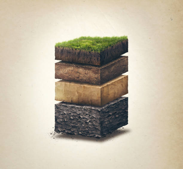 Soil layers. Cross section soil layers. 3D illustration, light background Soil, slice, layers, 3d, organic, subsoil bedrock stock pictures, royalty-free photos & images