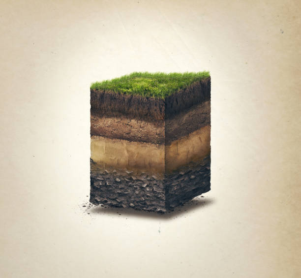 istock Soil layers. Cross section soil layers. 3D illustration, light background 869721542
