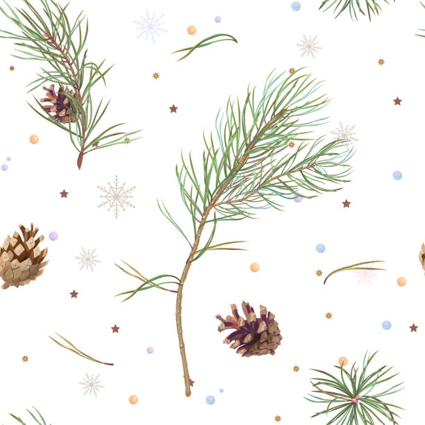 緑の松の枝と茶色の円錐形、針、雪、星、白い背景、ファブリック、壁紙、ラッピング、ヴィンテージのイラストに見掛け倒しで正方形のシームレスなパターンをベクトルします。 - brown pine cone seed plant点のイラスト素材／クリップアート素材／マンガ素材／アイコン素材