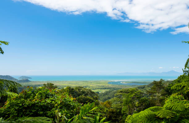 istock Daintree River And Rainforest, North Queensland, Australia 869733052
