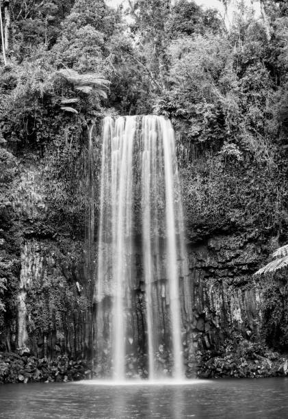 istock Millaa Millaa Falls, Queensland, Australia 869733318