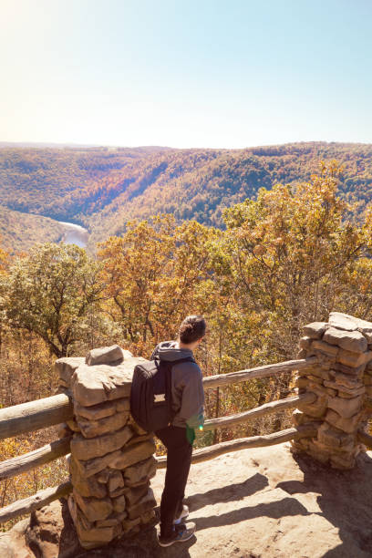 istock Man Enjoying View of Coopers Rock State Forest 869736498