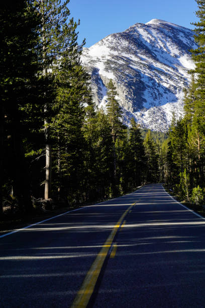 istock Yosemite National Park Landscape, California 869741488