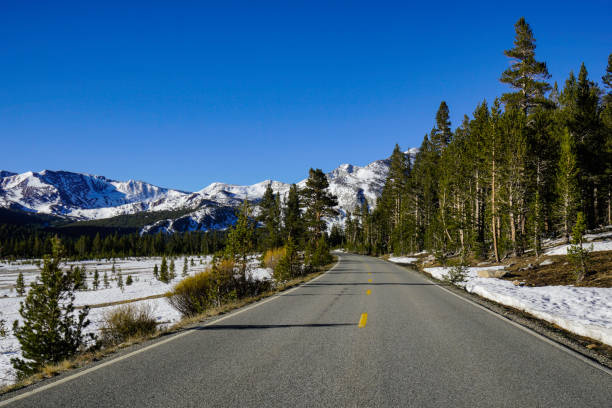 istock Yosemite National Park Landscape, California 869741864