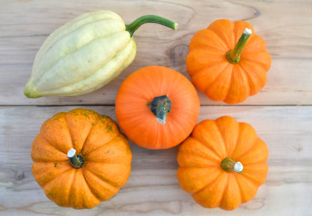 istock Little pumpkins and acorn squash 869742272