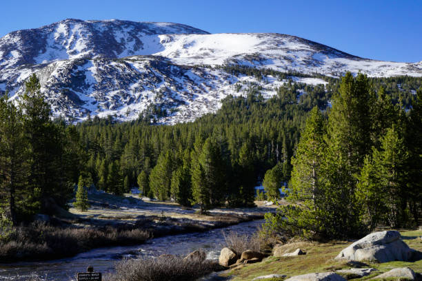 istock Yosemite National Park Landscape, California 869742604