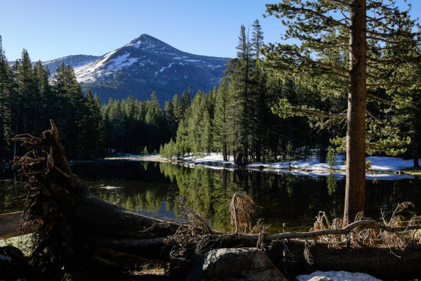 istock Yosemite National Park Landscape, California 869742762