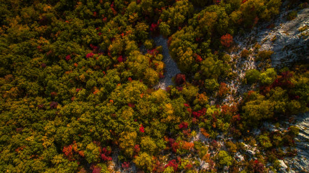 vista aérea drone de increíbles colores otoñales de bosque de otoño. trieste, italia val rosandra (glinscica) - formación karst fotografías e imágenes de stock