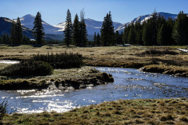 istock Yosemite National Park Landscape, California 869754360