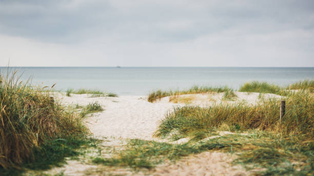 Access to a quiet sandy beach at the Baltic Sea in Germany on a cloudy day