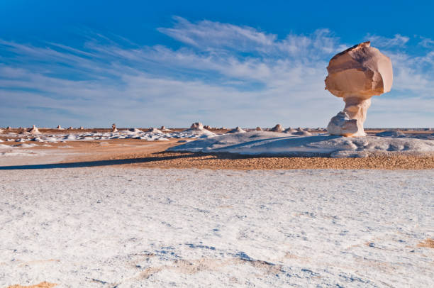 화이트 사막, 사하라 사막, 이집트의 이집트 부분에서에서 버섯 모양에서 바위 대형. - white desert 뉴스 사진 이미지