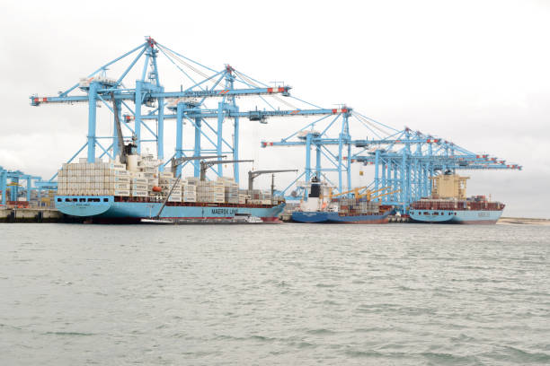 контейнерное судно maersk в терминале apm, роттердамская гавань - harbor editorial industrial ship container ship стоковые фото и изображения