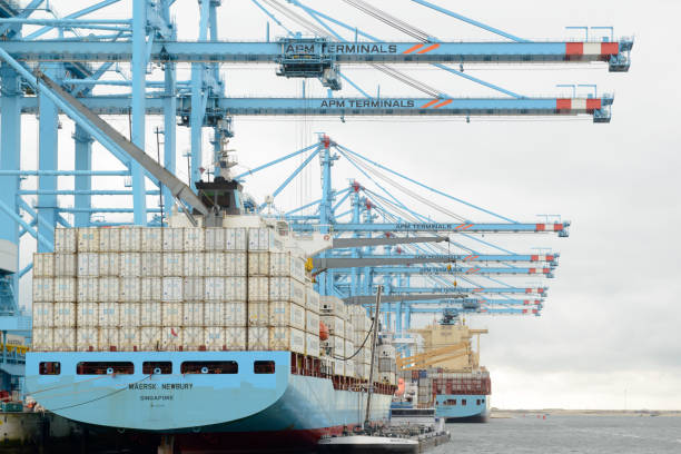 контейнерное судно maersk в терминале apm, роттердамская гавань - harbor editorial industrial ship container ship стоковые фото и изображения