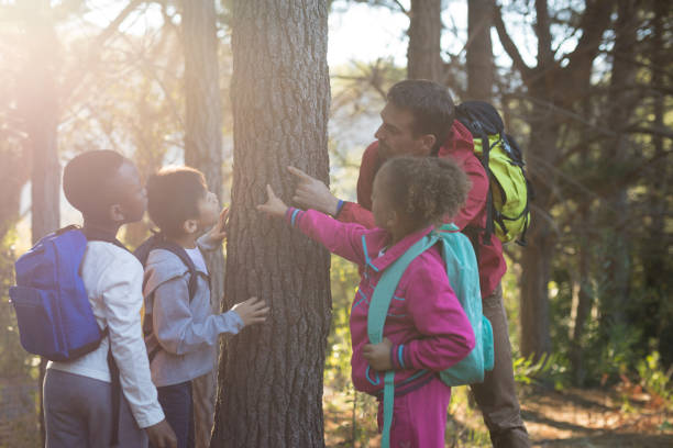 istock Teacher and kids examining tree trunk 869773134