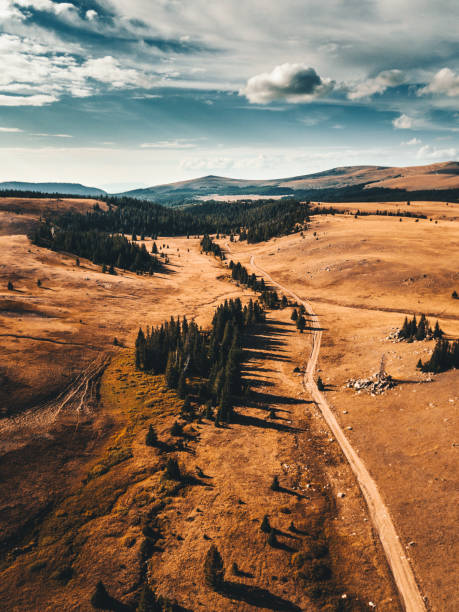 vista aérea da floresta nacional de bighorn - bighorn mountains - fotografias e filmes do acervo