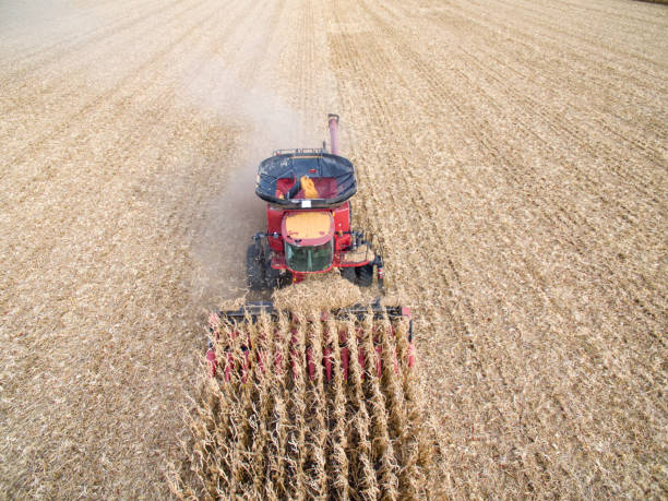 istock Aerial View of Harvesting Corn 869796760