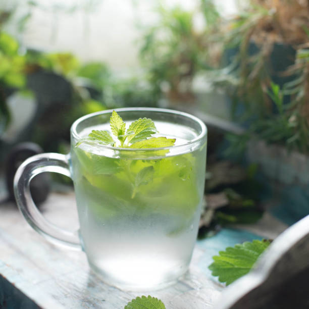 istock Mint tea with fresh mint leaves. Closeup 869801216