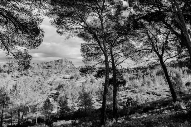 istock the Sainte Victoire mountain 869801892