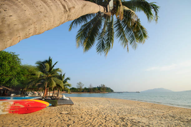 istock Happy summer holiday concept 869801916