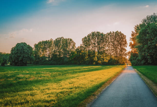 istock Bicycle Lane along meadow surrounded by forest 869806246