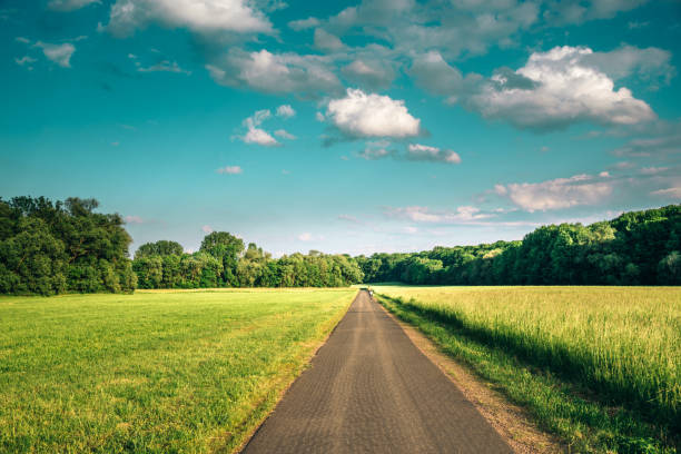 bicycle lane along meadow surrounded by forest - nobody forest landscape cloud imagens e fotografias de stock