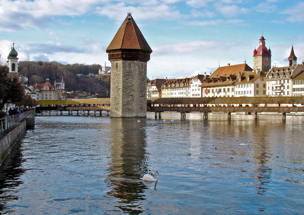 Switzerland, Lucerne, view of Lake Lucerne view of Lake Lucerne stargazer fish stock pictures, royalty-free photos & images