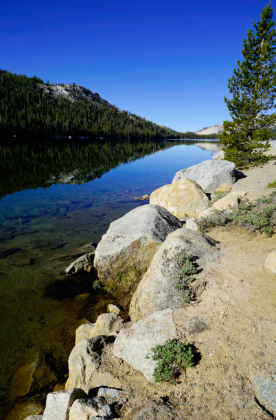 istock Yosemite National Park Landscape, California 869815196