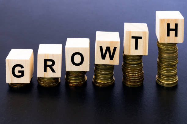 istock Growth Word on Wood Block on Top of Coins Stack 869815274