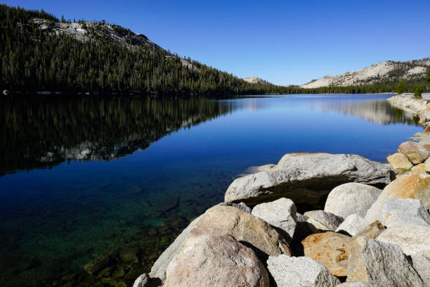 istock Yosemite National Park Landscape, California 869815614