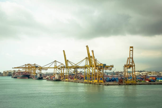 istock Ships and cranes in a commercial port 869818034
