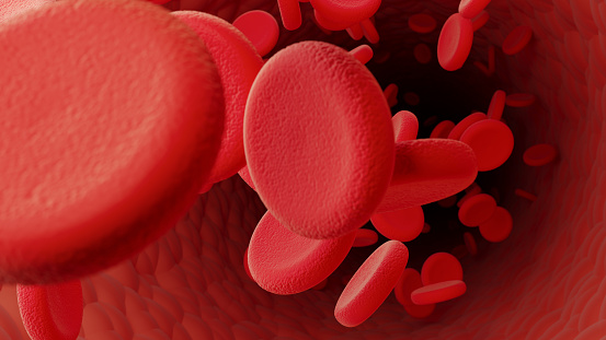 Red blodd cells inside a blood vessel. Horizontal composition with selective focus.