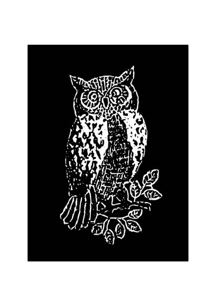 ilustrações de stock, clip art, desenhos animados e ícones de owl black and whte - owl clover