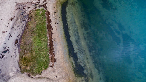 istock Pollution and dirt from the sea water, seen from above. Ecological pollution concept 869829408