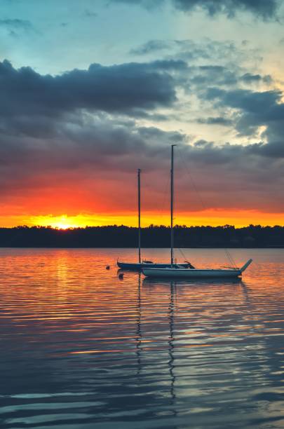istock Beautiful summer evening landscape. 869831090
