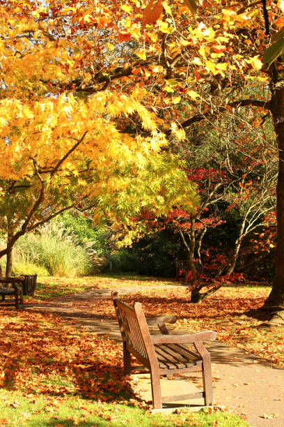istock Autumn landscape; Somerset; England 869834230