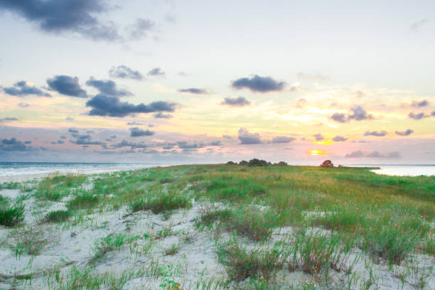 istock Sandy empty sea coast seaview, cloudy colorful sunrise sky view 869834626