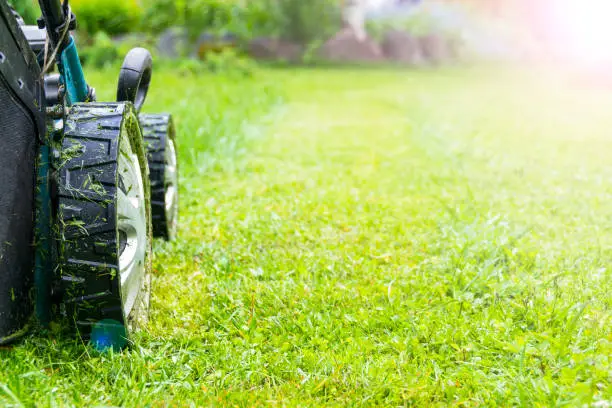 Photo of Mowing lawns, Lawn mower on green grass, mower grass equipment, mowing gardener care work tool, close up view, sunny day. Soft lighting
