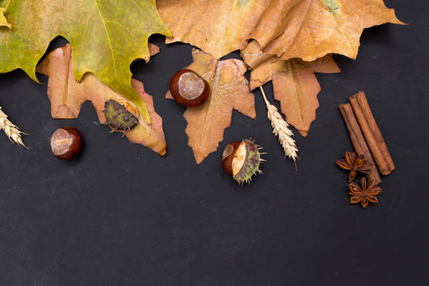 istock autumn background with colored leaves on wooden board 869838262