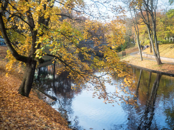 istock Yellow leaved trees in The Bastion hill park 869838360