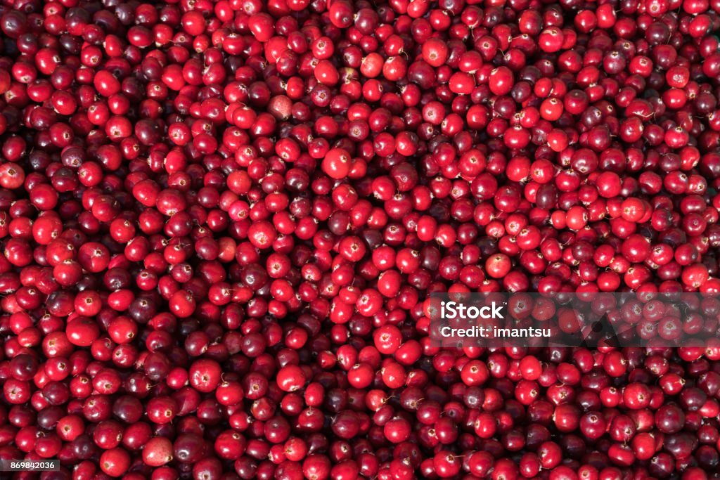 Closeup of cranberries Closeup of cranberries in the central market of Riga Cranberry Stock Photo