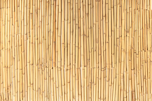 wicker background - woven wood textured place mat imagens e fotografias de stock