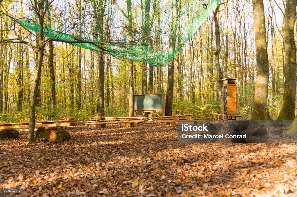 wide angle view on outdoor class room in forest with chalk board, school desks and book shelf wide angle view on outdoor class room in forest with blank green chalk board, wooden school benches and book shelf in autumn with brown leaves on the ground Classroom Stock Photo