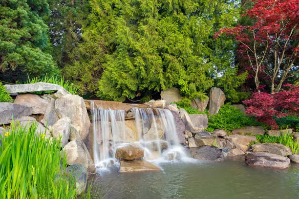 Photo of Garden backyard landscaping with rocks boulders waterfall trees and plants