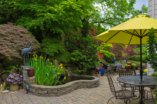 Home backyard hardscape and lush plants landscaping with garden furniture on paver brick patio