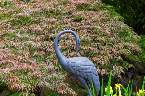 Bronze crane statue sculpture by Red Japanese Maple Tree in home garden backyard
