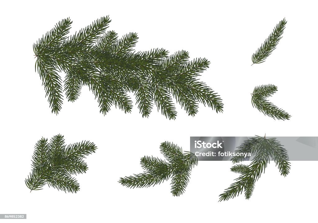 set: Christmas trees, isolated. Branches of Christmas tree.vecto set: Xmas tree branches.  Christmas and Happy New Year dГ©cor . Isolated without a shadow. Fir tree branches.vector illustration. Eps 10 Branch - Plant Part stock vector