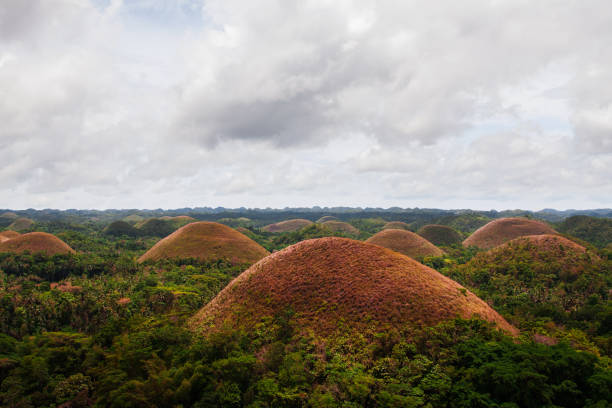 bohol, chocolate hills - bohol stock-fotos und bilder